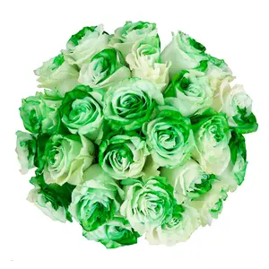 Green & White Tinted Roses