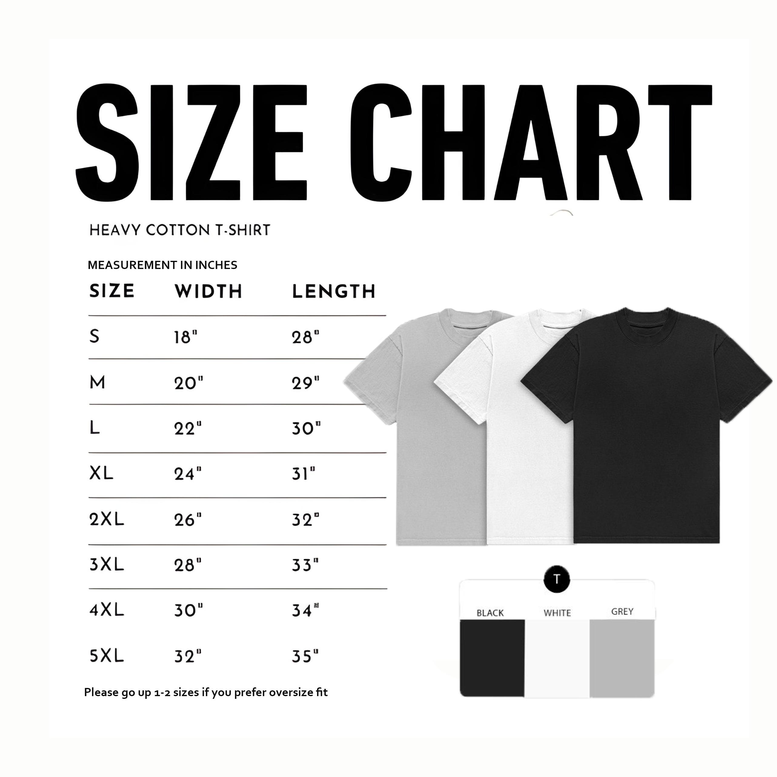 Radiator Springs Lightning 95 McQueen Graphic T-Shirt Gildan Unisex Tee, Vintage Cartoon Racing Car Shirt, Retro Desert Town Road Trip Tee, California Aesthetic Cotton Shirt for Men Women