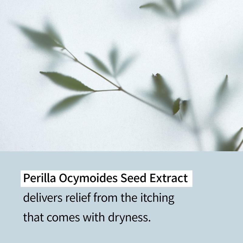 Illiyoon Ceramide Ato Lotion | Moisturizing Lotion for Dry & Sensitive Skin, Super Hydrating, For Face & Body, Gentle for Infants, Sliky and Smooth texture, Vegan Certified, 11.83 fl. oz