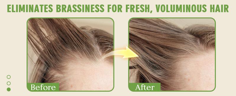 Powder Dry Shampoo Natural & Organic Ingredients Dry Shampoo Powder for Men Women Hair, Dry Shampoo Volume & Fullness Conditioner Haircare