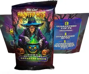 2025 Multi Sport Breakers Brick Haunted Hits Monster Edition
