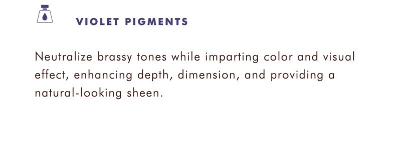 Moroccanoil Treatment Purple