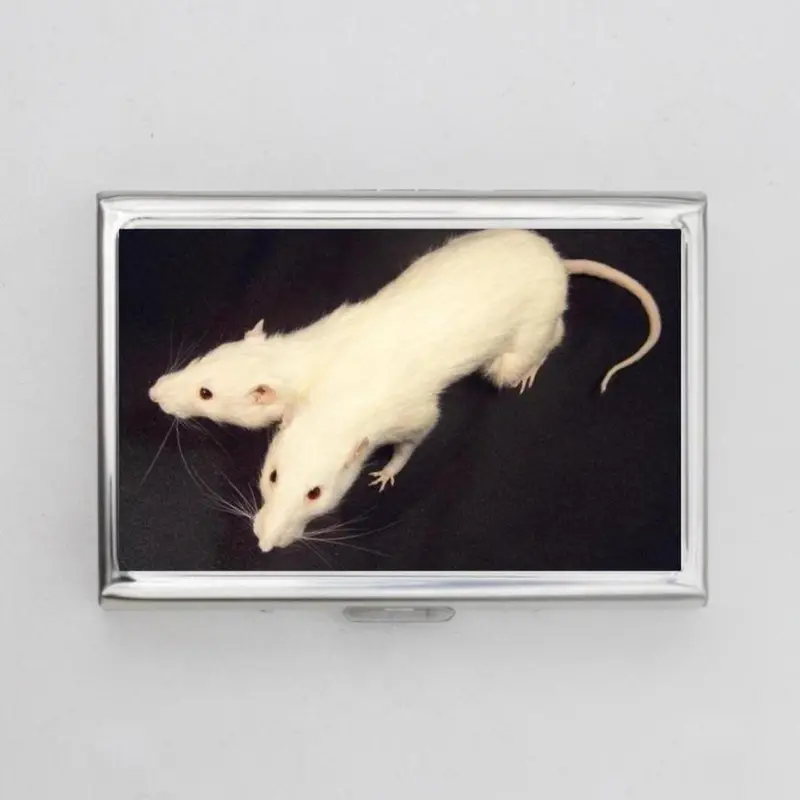 cigarette holder for two 2 Headed Rat Cigarette Case or Card Holderr