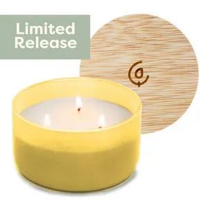 Pineapple + Coconut 3-Wick Resilience Soy Candle | Seasonal Fragrance