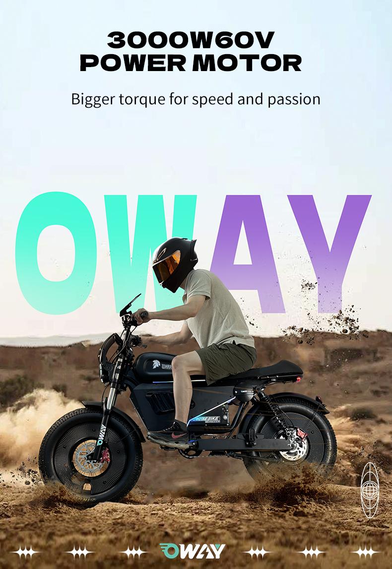 OWAY Black Warrior electric bicycle sk-1 ultra 3000W 60v 50ah High Speed Long Range 62mile high fatebike