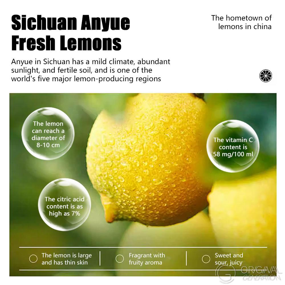 2025 Freeze-Dried Honey Lemon Slices - Individually Packaged Fruit Tea 100g