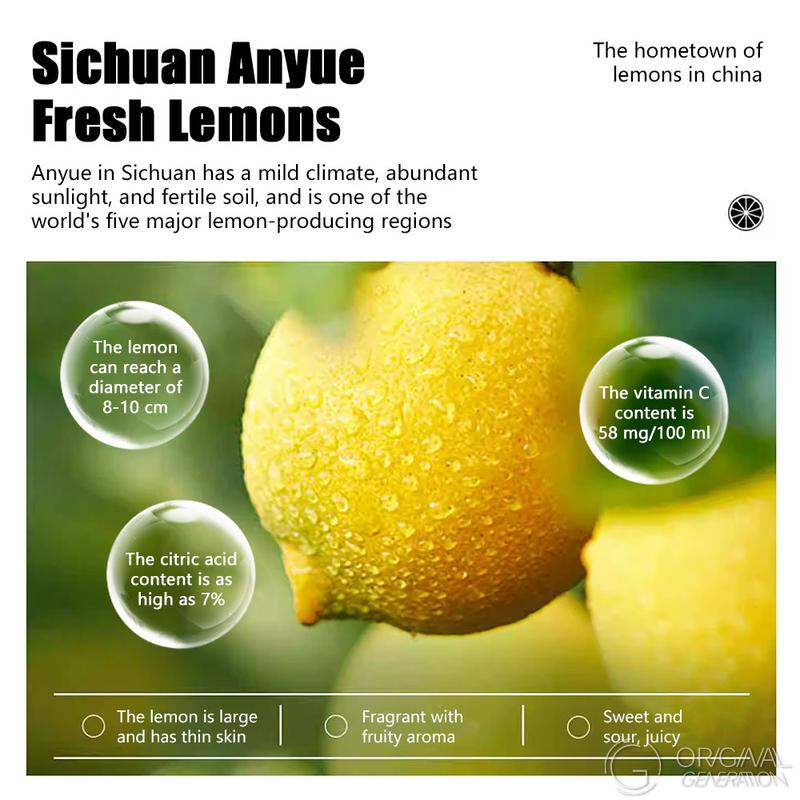 2025 Freeze-Dried Honey Lemon Slices - Individually Packaged Fruit Tea 100g