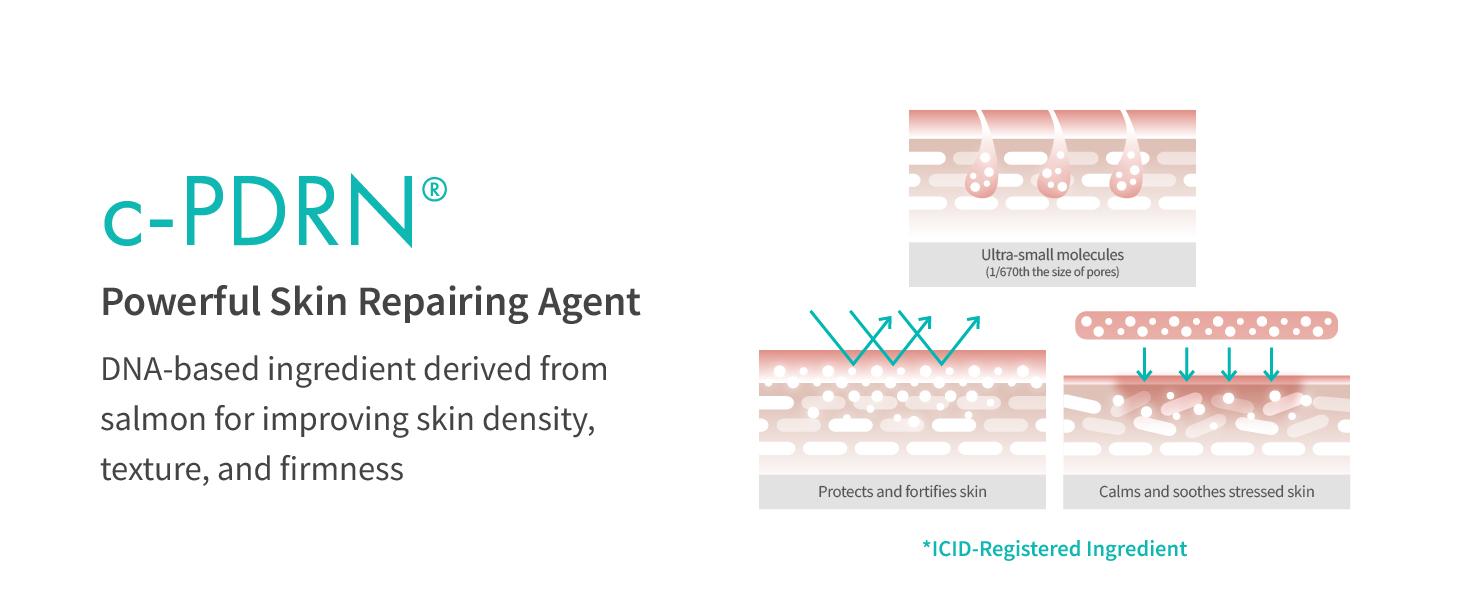 REJURAN Turnover Ampoule 1.01 fl oz & Nutritive Cream 1.69 fl oz - c-PDRN - Anti-Aging Face Serum for Firmness, Radiance, Youthful Skin Korean Skin Care REJURAN Turnover Ampoule 1.01 fl oz & Nutritive Cream 1.69 fl oz - c-PDRN - Anti-Aging Face Serum for Firmness, Radiance, Youthful Skin Korean Skin Care