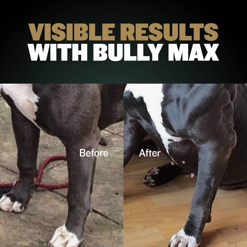 Bully Max 11-in-1 Muscle Gain Power Chews - High Protein Dog Supplement with Amino Acids - Premium Muscle Builder for All Breeds - 75 Chews