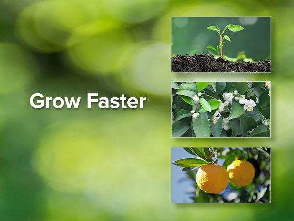 SANSI 10W LED Grow Light (150W Equivalent), Full Spectrum Gooseneck Clip Plant Lamp, High PPFD with 4/8/12H Timer for Indoor Plants