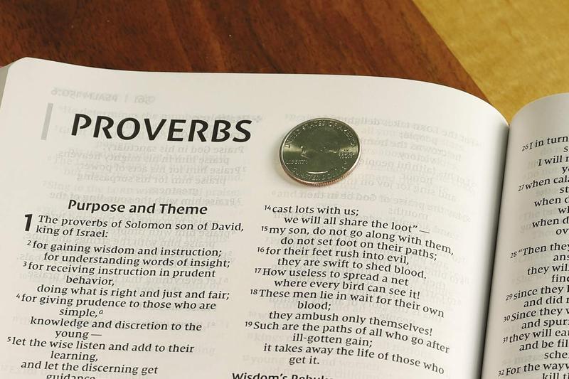 NIV Thinline Bible – Large Print, Pink Leathersoft, Comfort Print (Value Edition) Imitation Leather