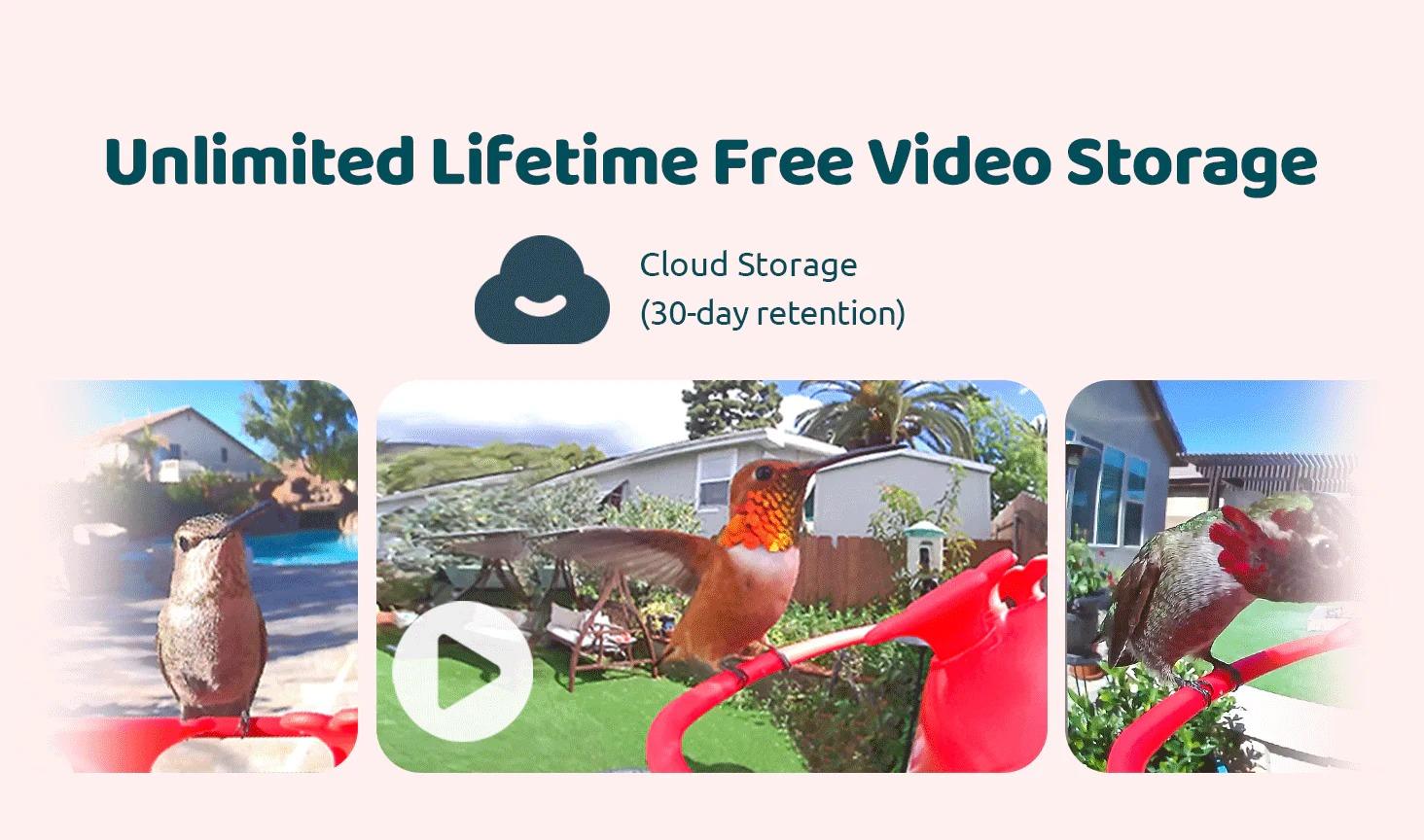 Birdfy Hum Feeder Duo with Dual Camera - 2K High-Resolution Cameras for Hummingbird Behavior and Appearance