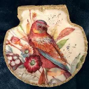 Color full Bird decoupaged on a Clam Shell. An Artistic Decorative Piece for Home Decor