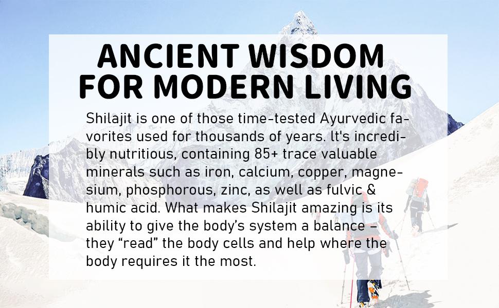 ifendly Shilajit | Pure Himalayan Shilajit Resin with 85+ Trace Minerals & Fulvic Acid | 30 Grams, 50 Servings