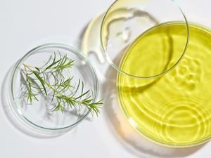 Roycederm Antifungal Tea Tree Oil Soap: Extra Strength Medicated Bar Soap Skin Fungus Treatment for Athletes Foot, Jock Itch & Ringworm - Deep Cleansing