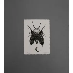 Moth 9  - High-Quality Print