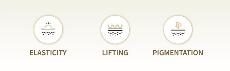 REJURAN Holiday Duo Set – c-PDRN Powered Dual Effect Ampoule + Active Cream Enhanced | Two-Step Anti-Aging & Radiance Routine