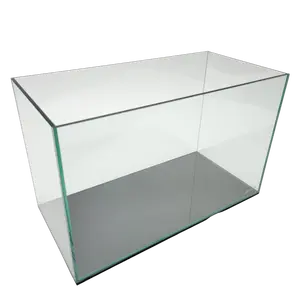 Clear Glass Rimless Aquarium