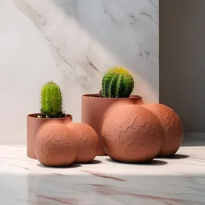 Sir Richard Plant Pot, Optional Cactus