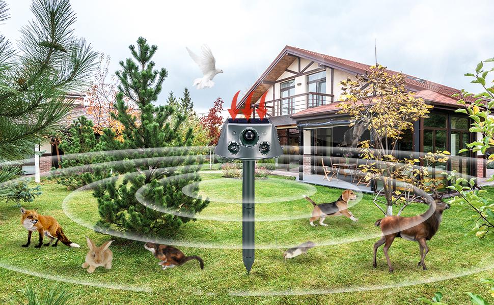 Solar-Powered Ultrasonic Animal Repeller for Yard 6 Modes with PIR Sensor & Flashing Light IP66 Waterproof Easy To Install for Squirrel Bird Deer Cat Skunk Dog Garden Protection Solar-Powered Ultrasonic Animal Repeller for Yard 6 Modes with PIR Sensor & Flashing Light IP66 Waterproof Easy To Install for Squirrel Bird Deer Cat Skunk Dog Garden Protection