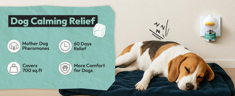 Dog Calming Diffuser Plug-In – Natural Pheromone Stress Relief for Dogs, Reduces Barking, Peeing & Anxiety (1–3 Pack)