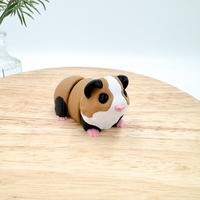 Guinea Pig