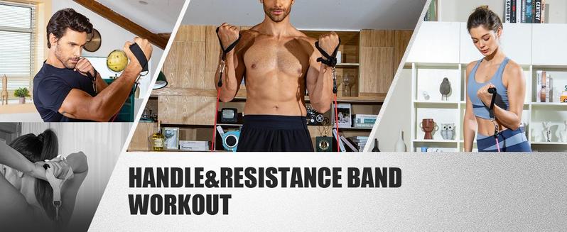 LALAHIGH Home Gym Kit, All-in-One Fitness Equipment with Push-Up Board, Resistance Bands with Bar, Pilates Bar, Pulley and Multi-Functional Training Board for Exercise Strength Training, Stable and Portable Home Workout Equipment