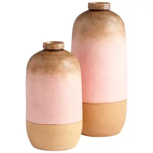 Vase Multi Color