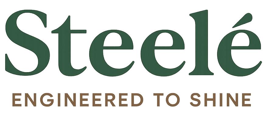 Steelé Sponge for Stainless Steel Cookware