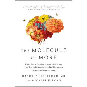 USED-The Molecule of More: How a Single Chemical in Your Brain Drives Love, Sex, and Creativity--And Will Determine the Fate of the Human Race by Lieberman, Daniel Z. (Paperback)