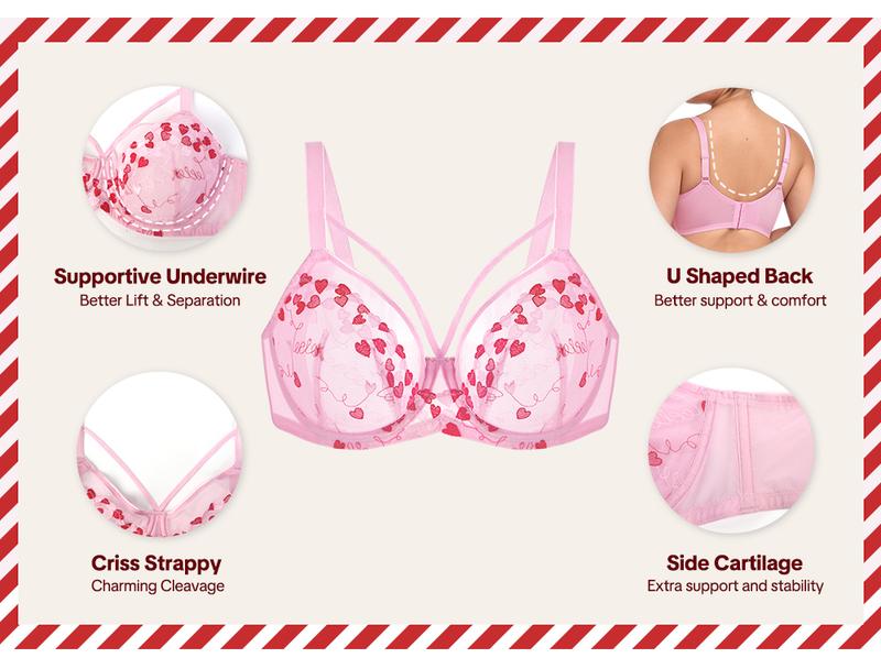 HSIA Renna Valentine's Day Embroidery Sheer Mesh Lightweight Lift Underwire Bra Comfort Fit HSIA Renna Valentine's Day Embroidery Sheer Mesh Lightweight Lift Underwire Bra Comfort Fit