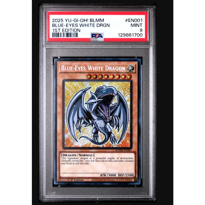 custom yugioh cards Custom Proxy Deck Printing, mtg, custom card, yugioh, lorcana, riftbou