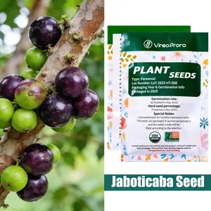 Jaboticaba Tree Seeds | Seeds for Home Gardening | Suitable for Beginners and Plant Enthusiasts