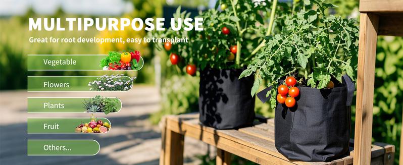 Grow Bags 10 Gal Multi-Purpose Nonwoven Fabric Pots with Durable Handles Heavy Duty Breathable Garden Pots for Plants Vegetables Planters