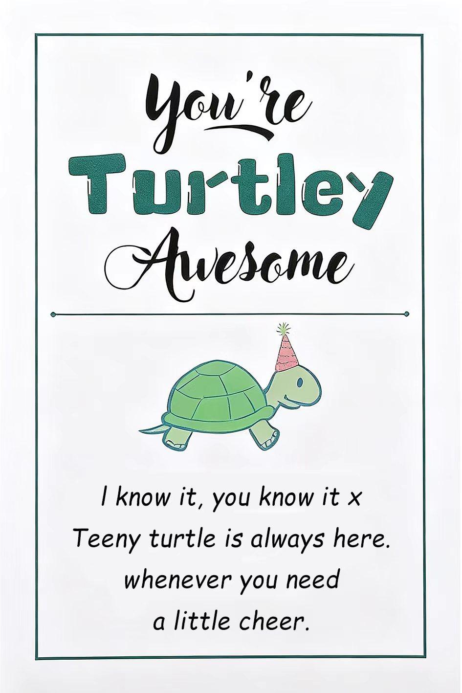 Crochet Turtle Keychain Handmade Knitted Craft Gift