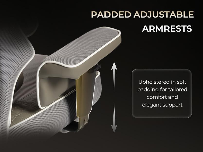 Dowinx Big and Tall Office Chair with Massage Lumbar Support,Executive Office Chair with Wide Thick Seat Cushion and Adjustable Armrest,Mesh Computer Gaming Chairs with Footrest Grey