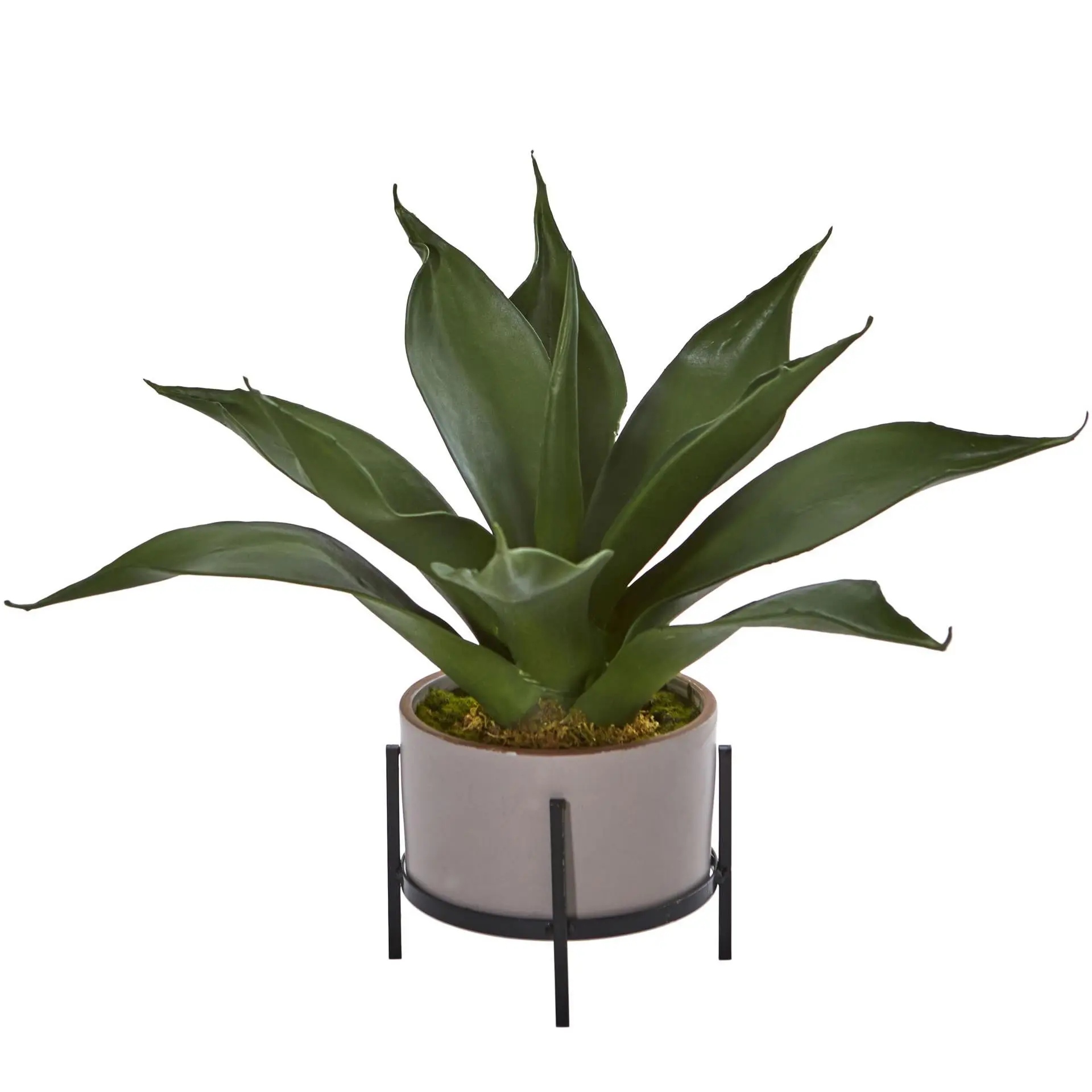 14" Agave Succulent in Decorative Planter by Nearly Natural