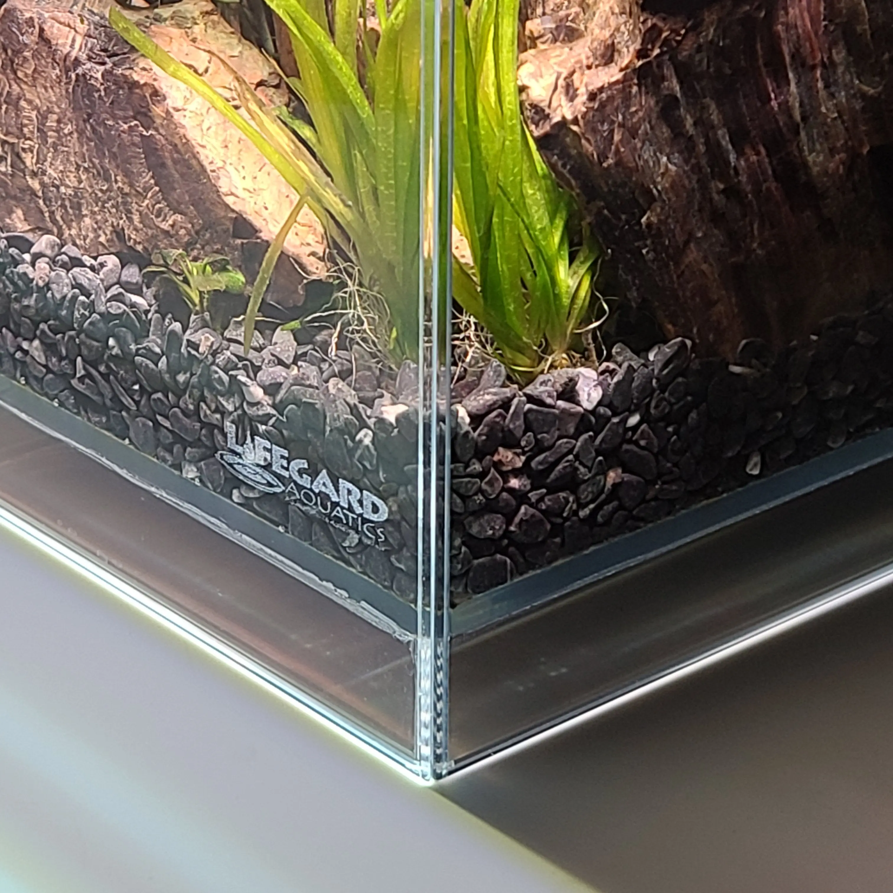 1.2 Gallon All in One Betta Tank - Low Iron Ultra Clear Aquarium - 5.90" x 5.90" x 7.87"
