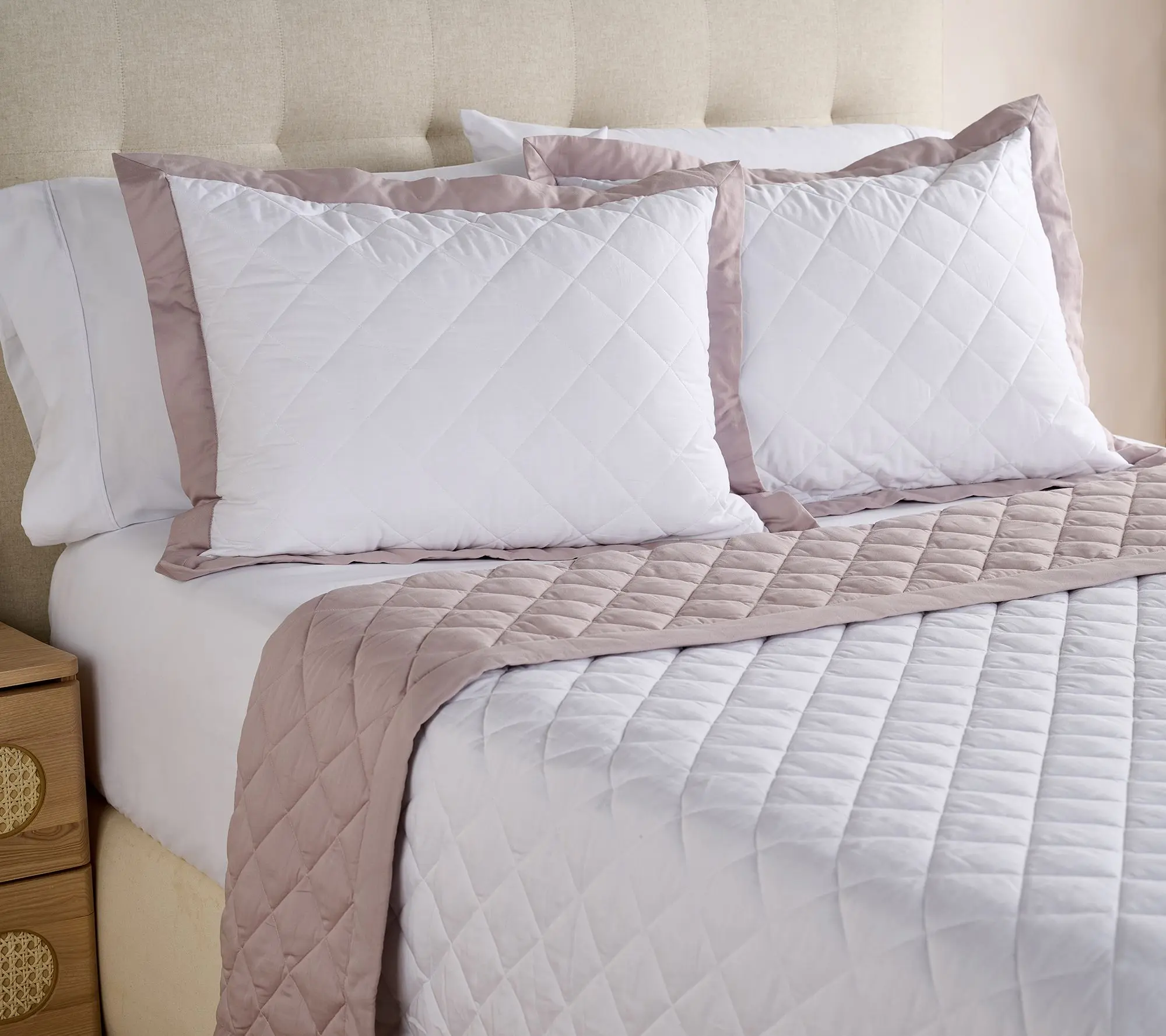 W by Wamsutta Reversible Down Alt Blanket & Sham Set- Queen