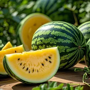 Pack of 100 Yellow Flesh Watermelon Seeds – Yellow Watermelon Fruit Seeds for Garden Planting, Backyard Vegetable Gardens, Patio Pots and Balcony Planters – Seeds Only, Not Live Plants