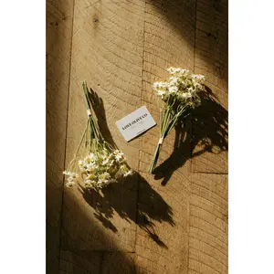 Gift Card-Physical
