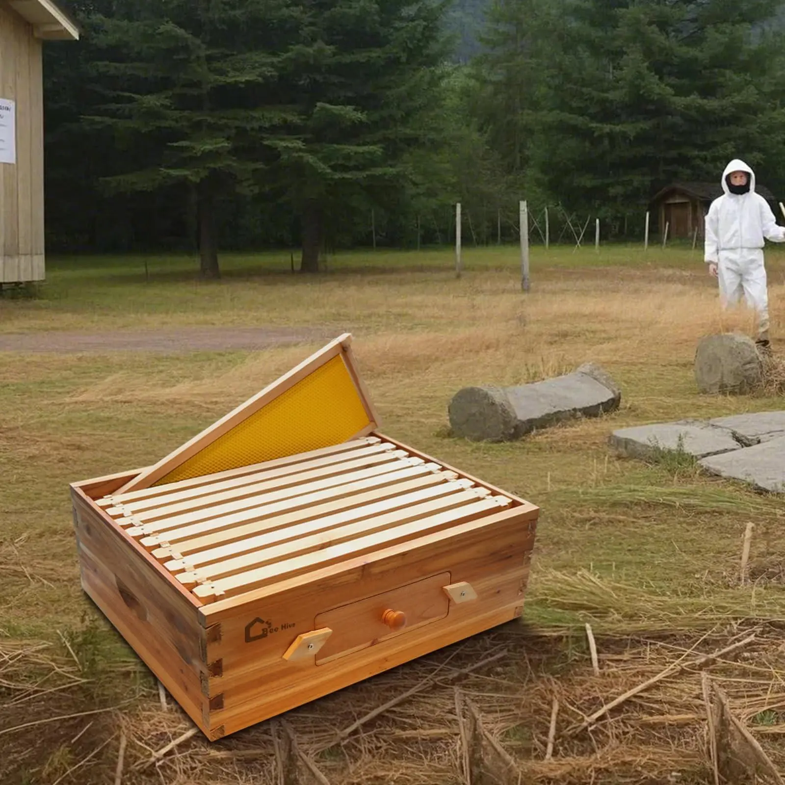 GARVEE 10 Frame Bee Hive Box, Medium Wax Coated Honey Super Bee Hive Kit with Frames Foundations Sheets and Acrylic Window for Beginners Beekeepers