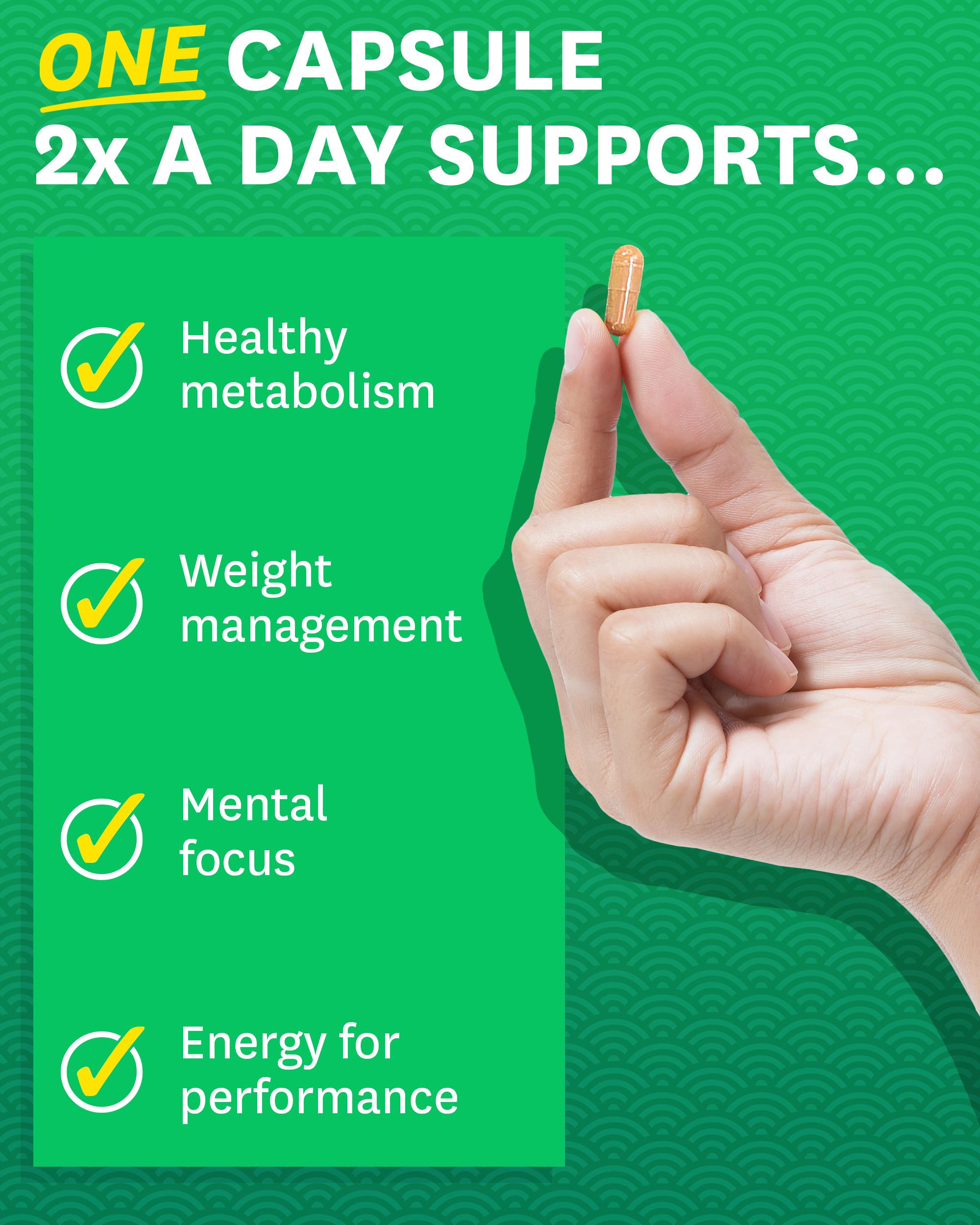 Zenwise Green Tea Extract with EGCG & Vitamin C - Antioxidant & Immune Supplement - Skin & Heart Support + Brain Health & Memory Boost - 120 Count