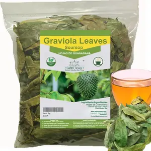 Gabio Green Soursop Graviola Leaves Tea 3 oz Big Bag, Whole Dried Guanabana Leaves Herbal Tea for Brewing, Approx. 180 Leaves, Makes 60+ Cups Natural Herbal Tea