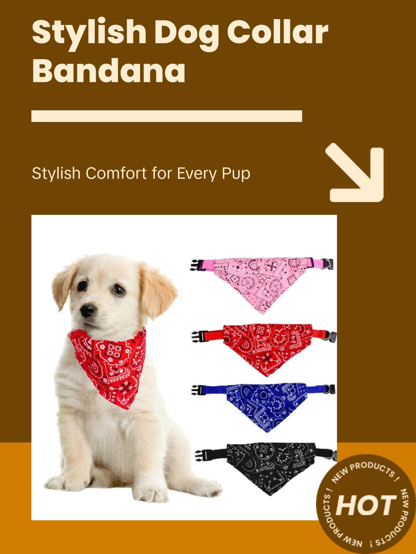 Collar Neck Bandana Scarf