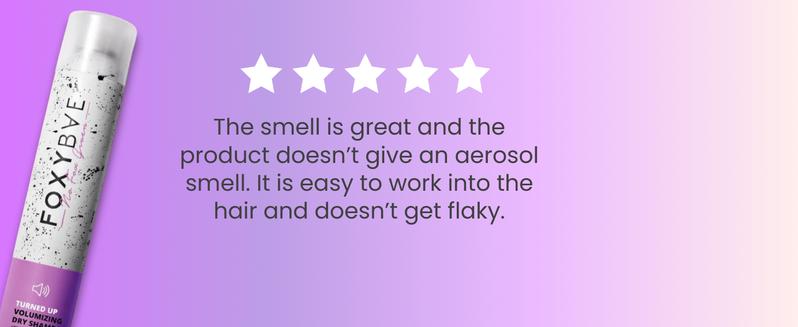 FoxyBae Hold Up Strong Hold Hairspray – Professional Haircare Styling Spray for Women – Long-Lasting, Flexible Hold – Anti-Frizz, Brushable Finish – Sulfate-Free & Lightweight – For All Hair Types (10 Fl. Oz)