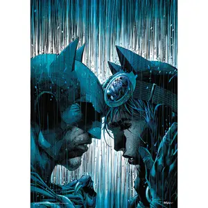 DC Comics (Batman - Under The Weather) MightyPrint™ Wall Art MP17240581