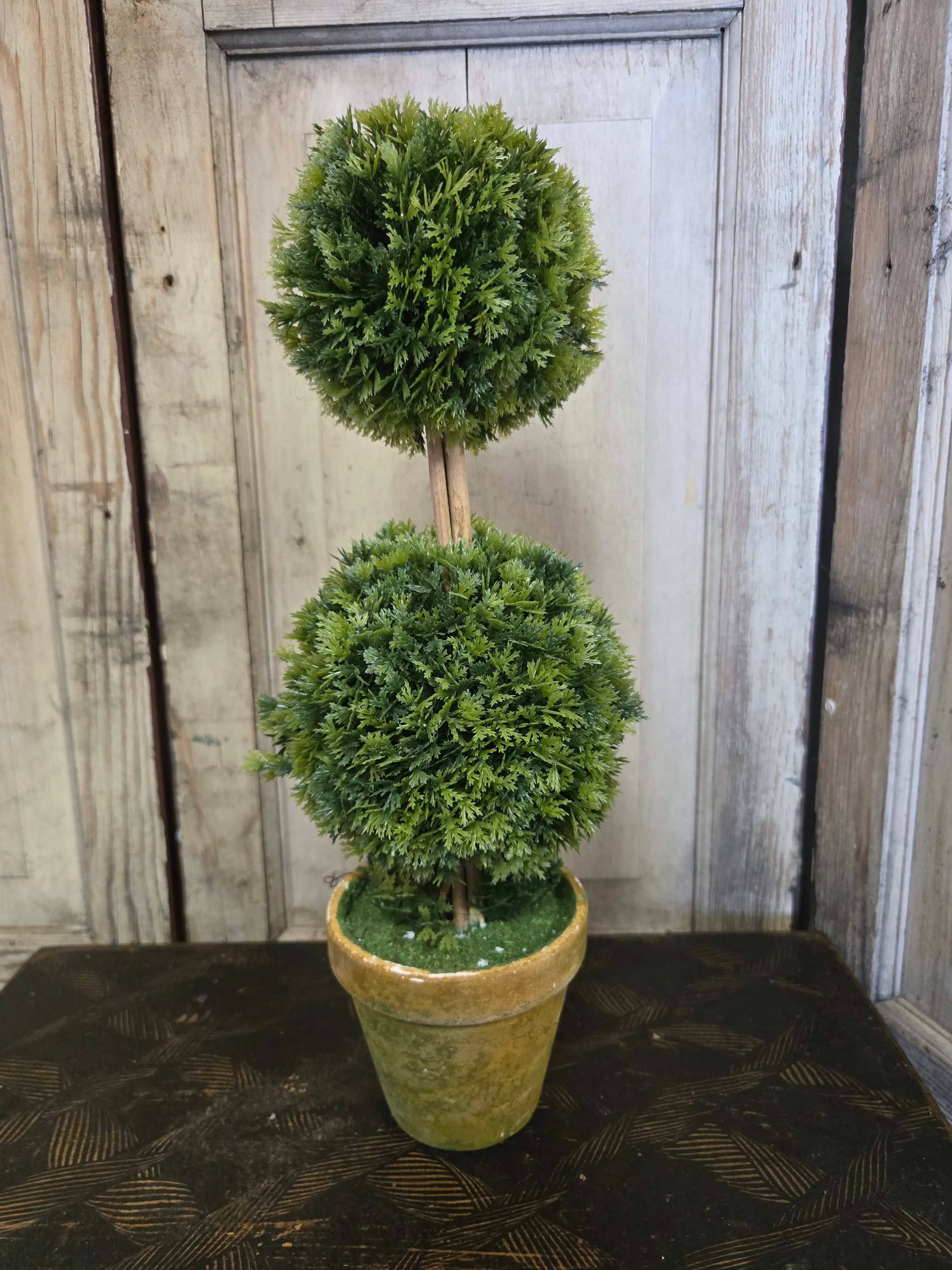 Cedar Trimmed Double Topiary