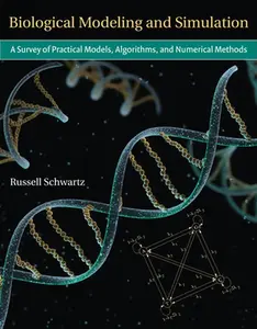 USED-Biological Modeling and Simulation: A Survey of Practical Models, Algorithms, and Numerical Methods by Schwartz, Russell (Hardcover)