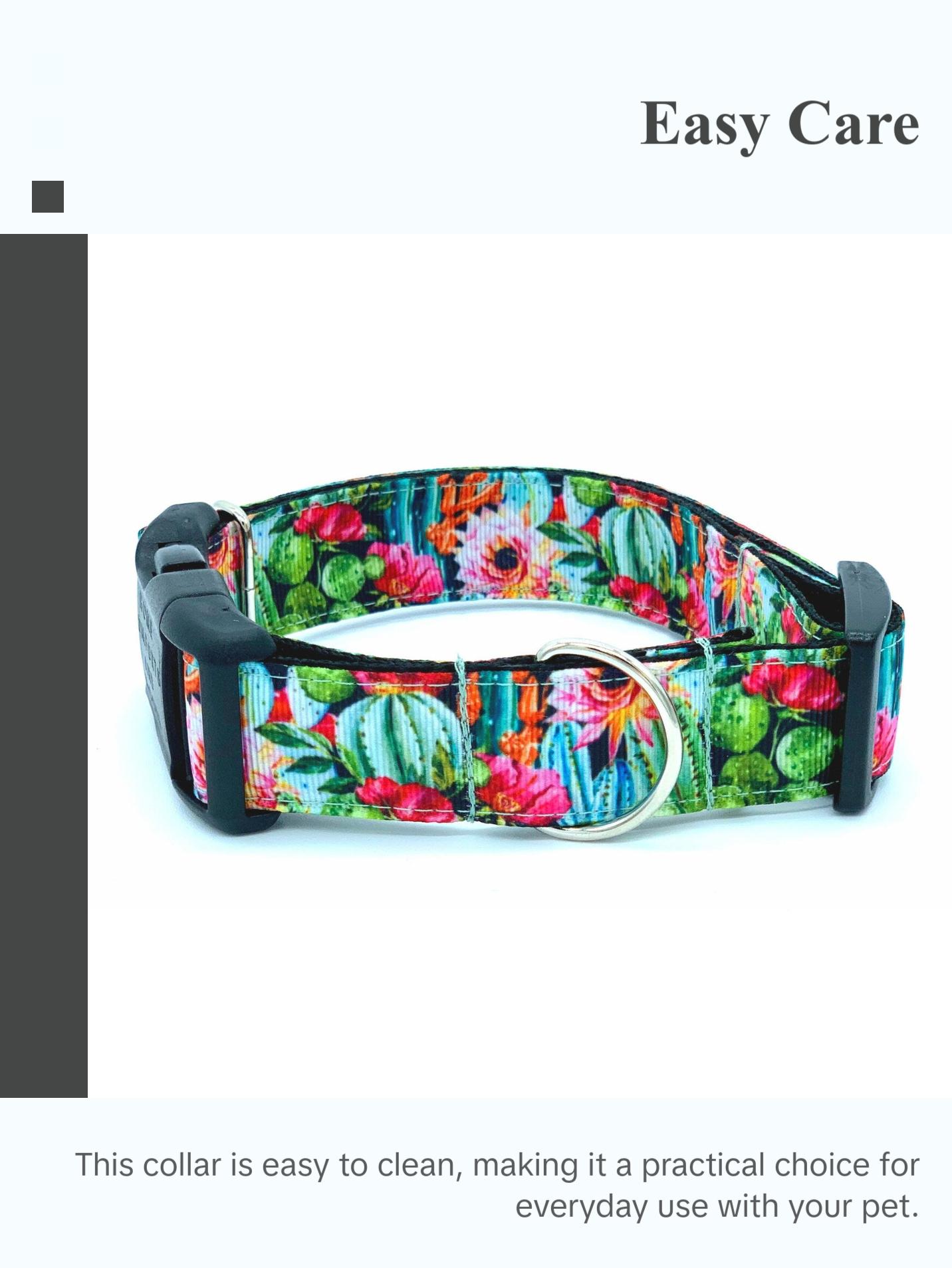 Colorful Cactus Saguaro Dog Collar - Perfect for Your Pet